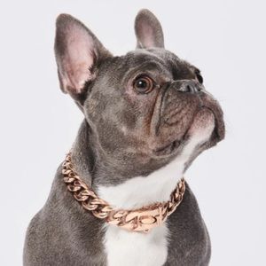 Brand new Spark Paws gorgeous rose gold dog collar